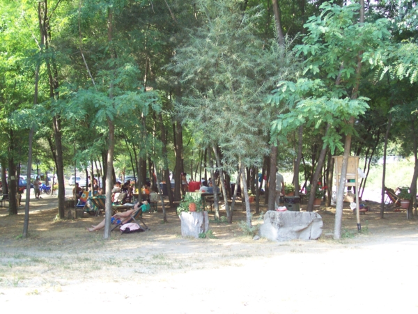  Image name: Parco36.jpg 
 width: 600 pixel 
 height: 451 pixel 
 Size: 271697 bytes 
 Click to enlarge 